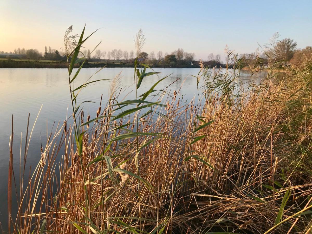Ter Zwaanhoek Villa Oostende Bagian luar foto
