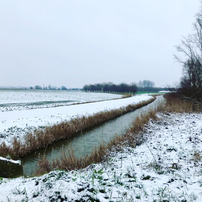 Ter Zwaanhoek Villa Oostende Bagian luar foto